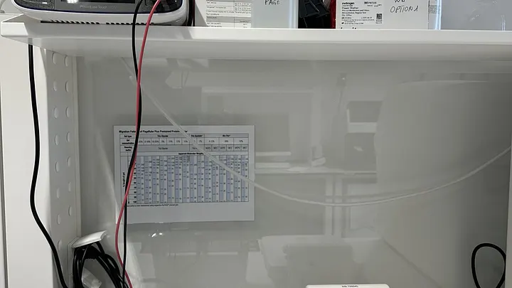 Protein Workstation