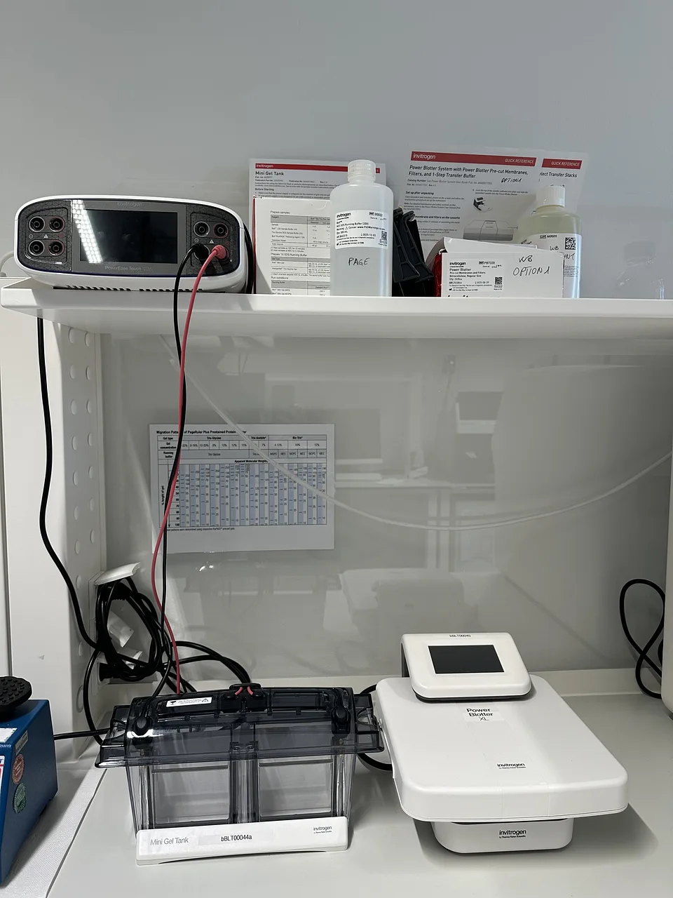 Protein Workstation