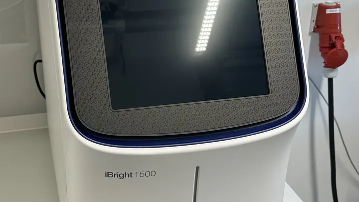 iBright 1500 Imager