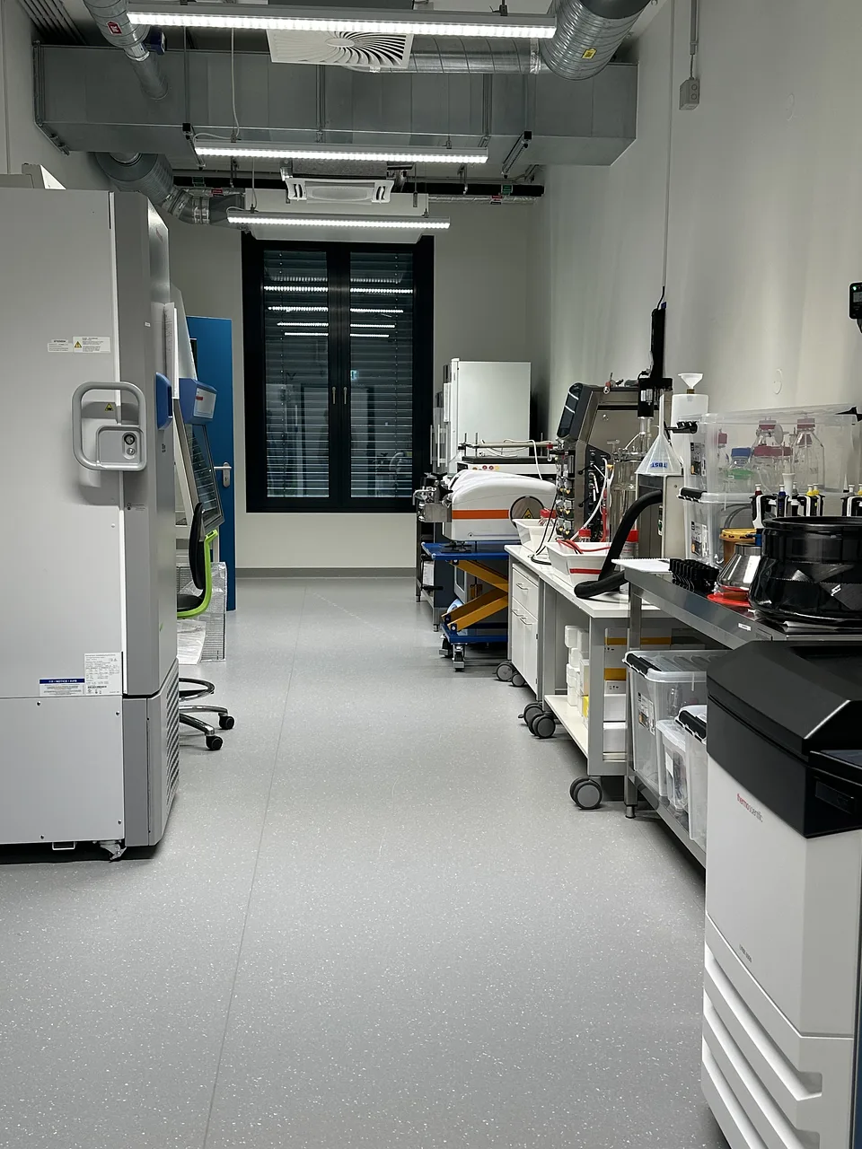 Microbiology Lab 1.52