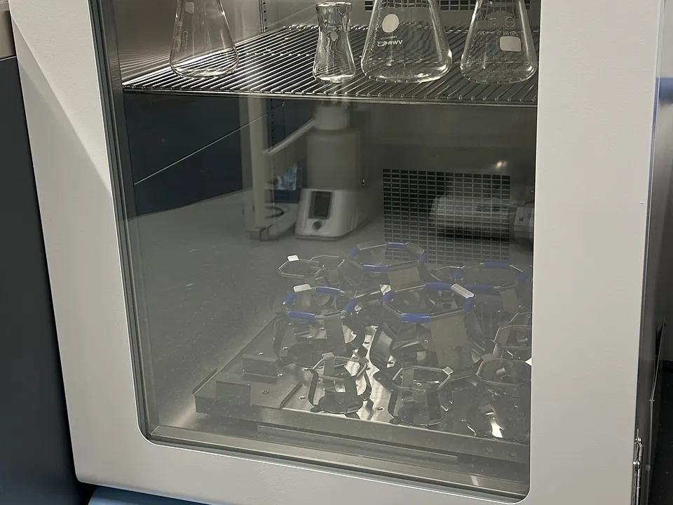Microbiology Lab 1.52 image 1